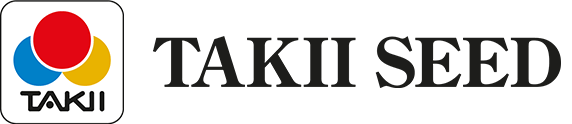Takii Seed Chile